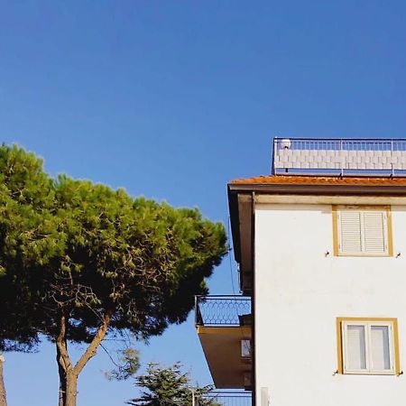 Domus Cedri Apartment Santa Maria del Cedro Kültér fotó